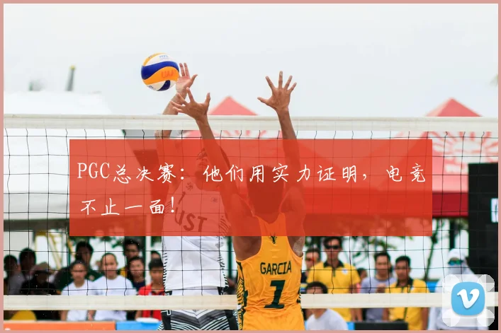 PGC总决赛：他们用实力证明，电竞不止一面！