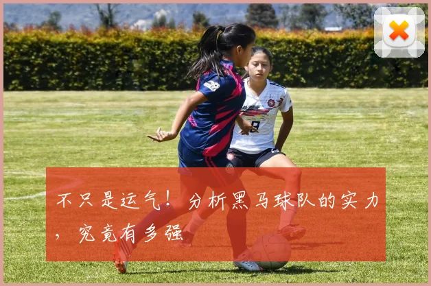 不只是运气！分析黑马球队的实力，究竟有多强