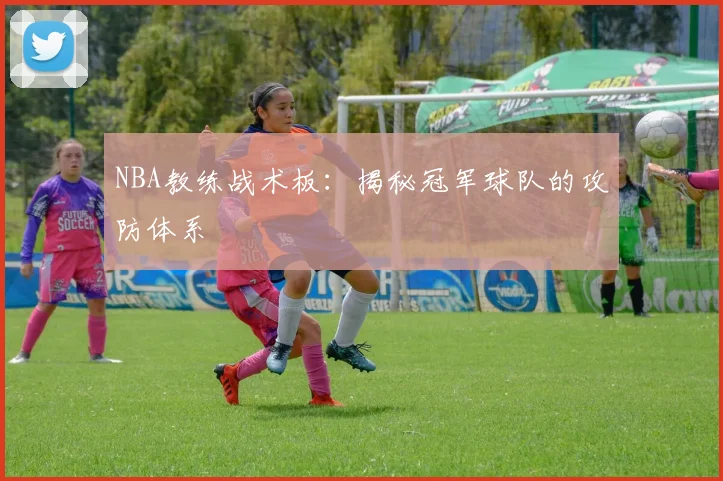 NBA教练战术板：揭秘冠军球队的攻防体系