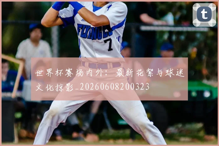 世界杯赛场内外:最新花絮与球迷文化掠影_20260608200323