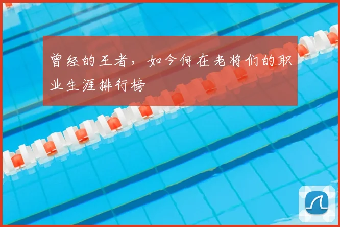 曾经的王者，如今何在老将们的职业生涯排行榜